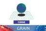 grain_cimne